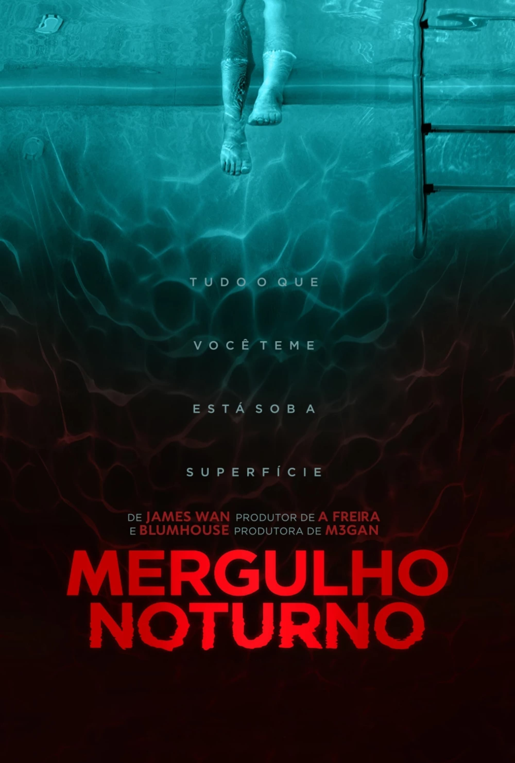 Mergulho Noturno 2024 Mergulho Noturno 2024