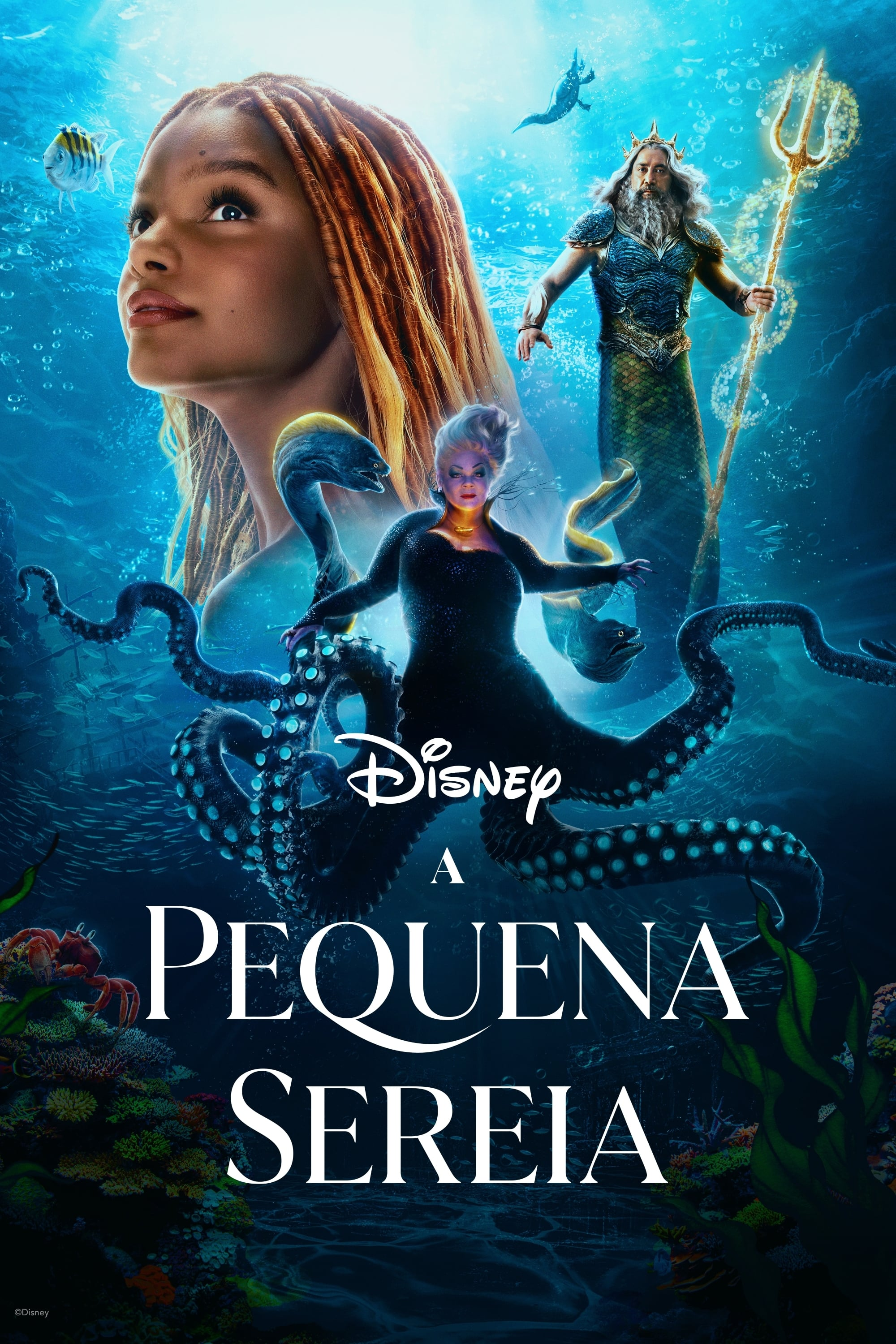 A Pequena Sereia - Live Action 2023 A Pequena Sereia - Live Action 2023