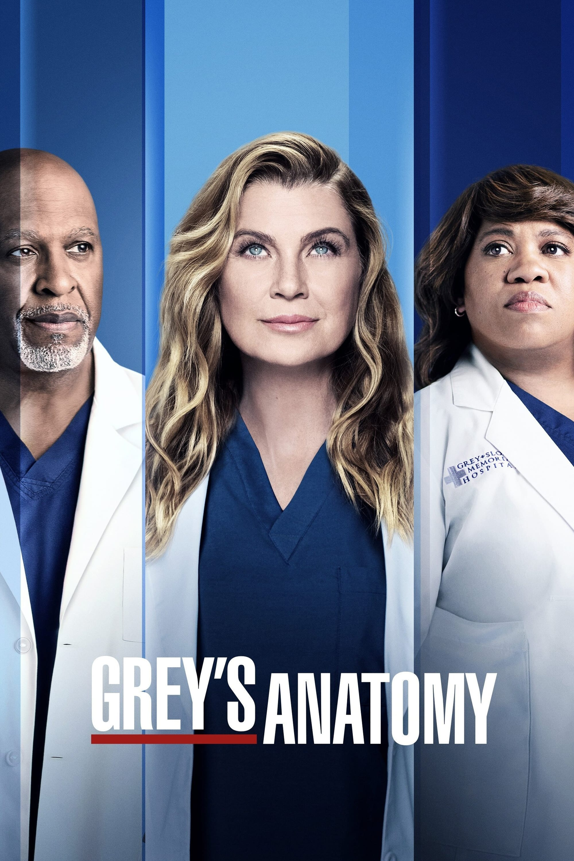Grey's Anatomy / A Anatomia de Grey Grey's Anatomy / A Anatomia de Grey