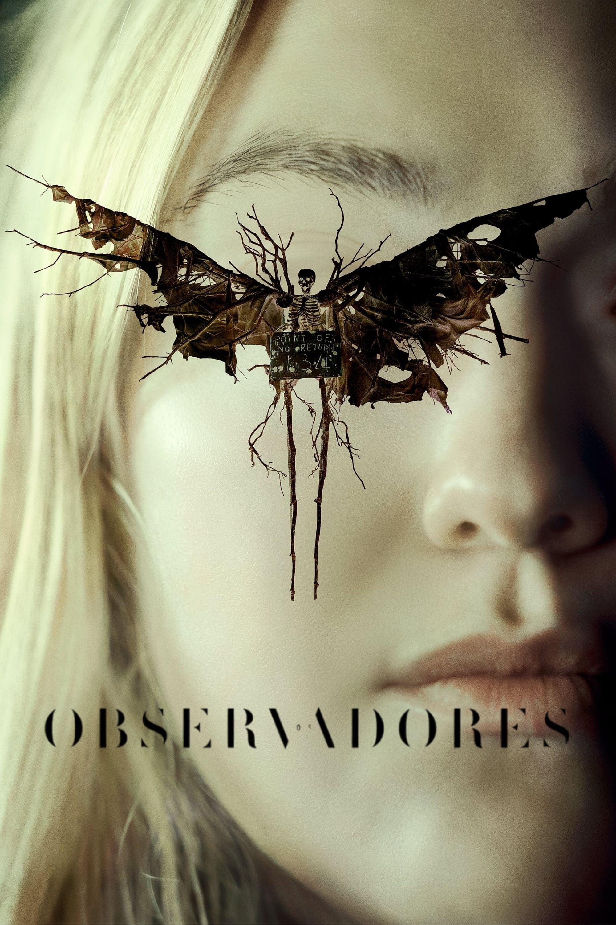OS OBSERVADORES  OS OBSERVADORES